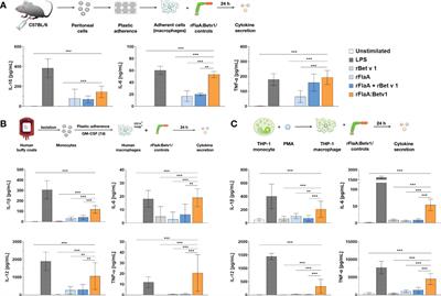 A flagellin-conjugate protein induces dual NLRC4- and NLRP3-inflammasome activation which modulates inflammatory cytokine secretion from macrophages